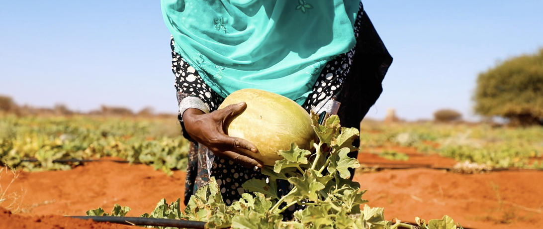 Woman holding farm product