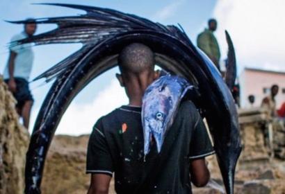 Washington Post blog examines Securing Somali Fisheries report